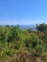 парцел гр.Севлиево,1560 кв.м ,местност "Крушевски баир ", снимка 2