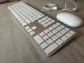 Apple клавиатура A1243 DE Layout и Apple мишка Mighty Mouse A1152, снимка 1