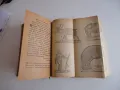 Стара книга Рибен Буквар Петър Берон 1964 , снимка 8