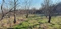 Земеделска земя за продажба в района на с.Беласица , снимка 11