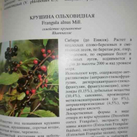 Лекарственные растения СССР: Культивируемые и дикорастущие растения, снимка 2 - Специализирана литература - 36459849
