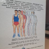 Човешкото тяло," прозрачна " енциклопедия от 1993 г., снимка 11 - Енциклопедии, справочници - 39007785