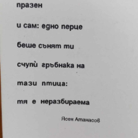 Пилето - Уилям Уортън, снимка 2 - Художествена литература - 44924605