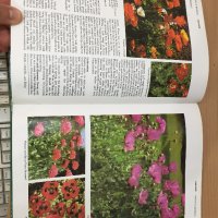 Енциклопедия A-Z of Annuals, Biennials & Bulbs (Successful Gardening), снимка 7 - Енциклопедии, справочници - 30873162