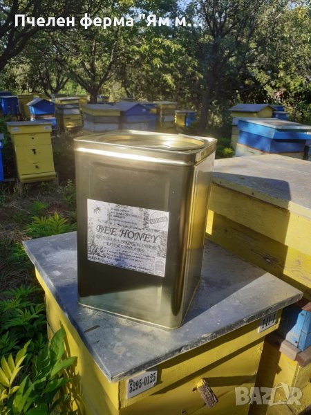 Пчелен мед на едро, директно от производител, реколта 2023 , снимка 1