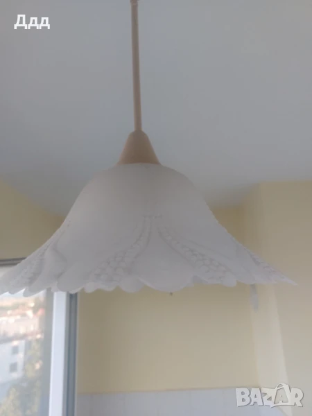 Полилеи , снимка 1