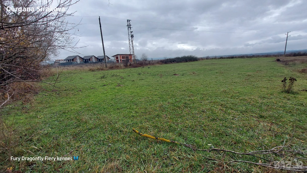 Земеделска земя, снимка 1