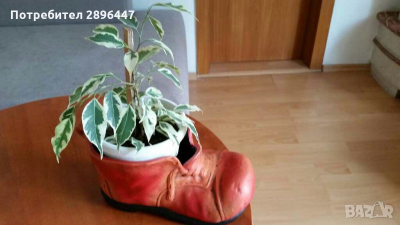 Керамична кашпа-за цвете, декорация Намалена!, снимка 1