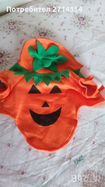 Хелоуин облекло за малко куче или  котка , снимка 1
