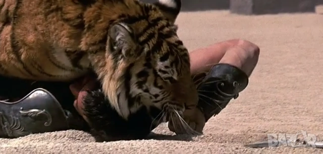 Гладиатор /2000/ и Гладиатор II /2024/ , снимка 7 - Приключенски - 54137860