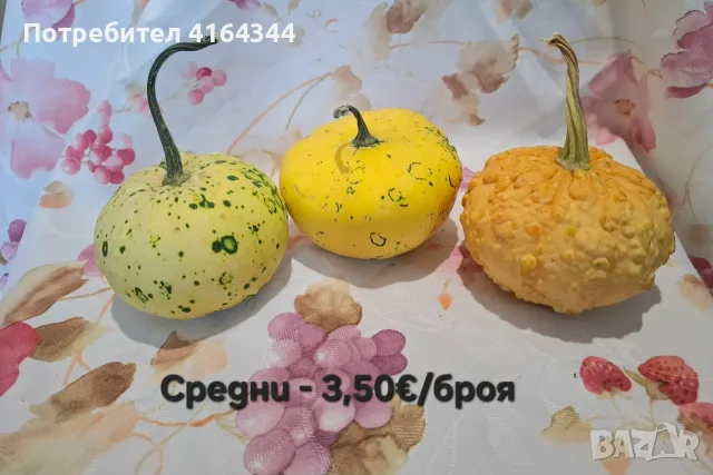 Естествени декоративни тикви, снимка 4 - Декорация за дома - 55722322
