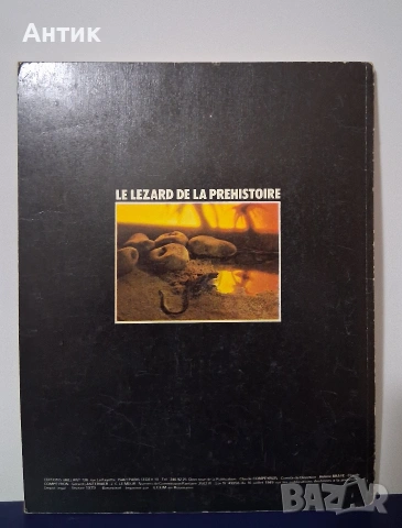 Стар Комикс Албум RAHAN / 1979 год., снимка 5 - Колекции - 54283475