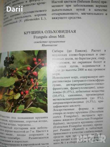 Лекарственные растения СССР: Культивируемые и дикорастущие растения, снимка 2 - Специализирана литература - 36459849