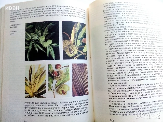 Атлас по Ботаника - Сл.Петров,Е.Паламарев - 1994г., снимка 5 - Специализирана литература - 55707383