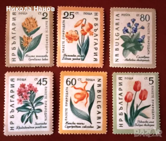 Български пощенски марки с цветя. Серия "Пазете природата". 1960 г.