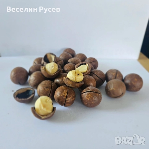 Ядки-Кашу,Шам фъстък,Бадем,Макадамия с черупка-натурална и с ванилия, снимка 2 - Хранителни добавки - 51917341