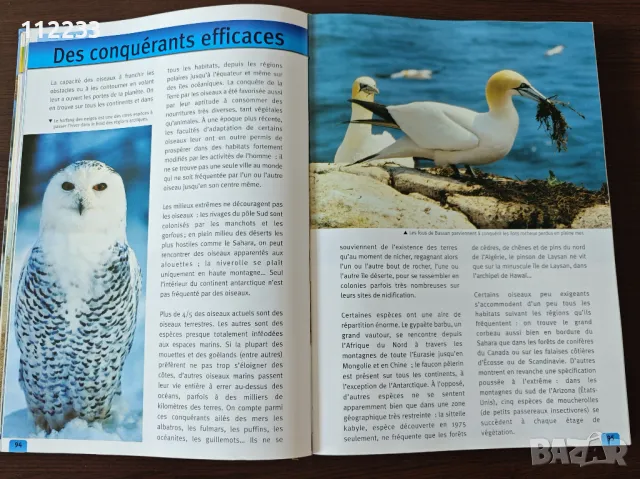 Le Regne Animal-енциклопедия на френски, снимка 4 - Енциклопедии, справочници - 47479705