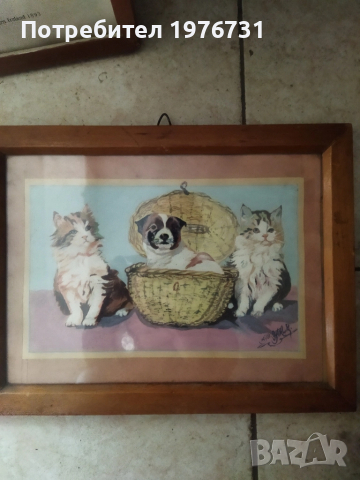 Акварел Анимализъм 