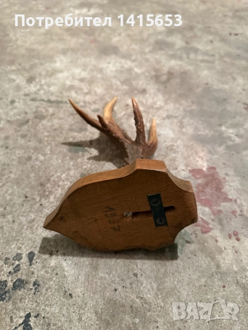 Продавам рог от сръндак, снимка 5 - Други ценни предмети - 52528953