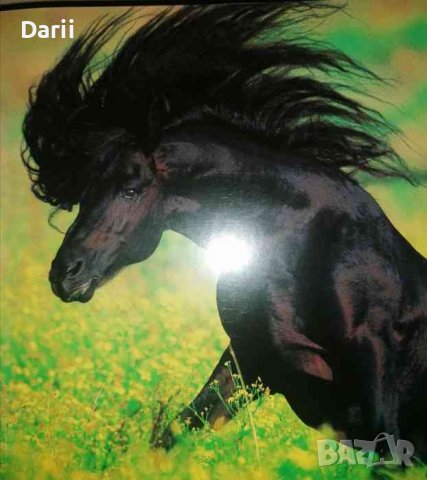 Конете, снимка 3 - Други - 36813860