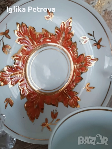 Сервиз  Барбарис-Вербилки, снимка 9 - Антикварни и старинни предмети - 52593985