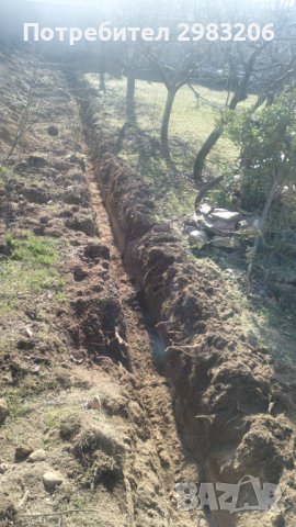 Градинарски услуги и работа с баге, снимка 11 - Други - 44369184