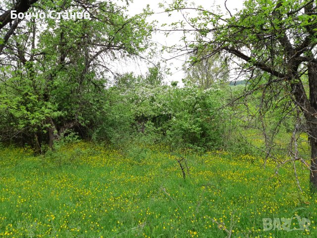 Продавам къща с парцел, снимка 12 - Парцели - 26810812