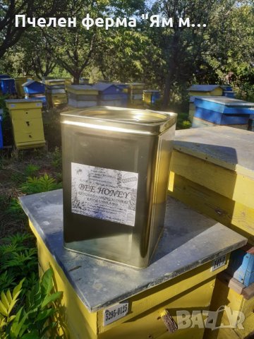 Пчелен мед на едро, директно от производител, реколта 2023 , снимка 1 - Пчелни продукти - 26607421