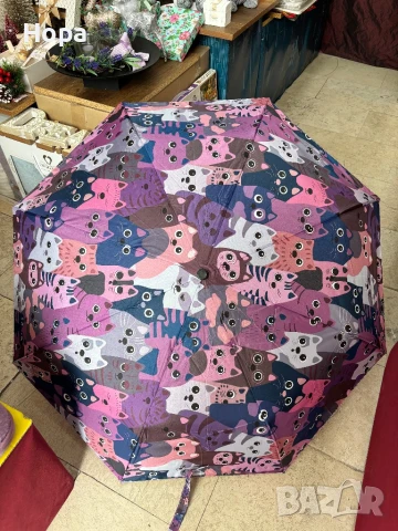 Сгъваеми чадъри с котки, снимка 9 - Други - 37738071