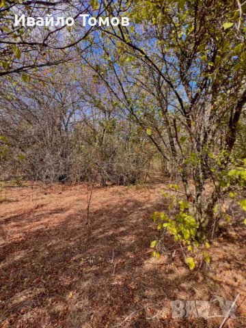 Парцел в село Захари Стояново, област Добрич