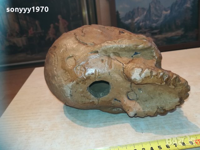 масивен череп 20см 1003210837, снимка 10 - Колекции - 32102510