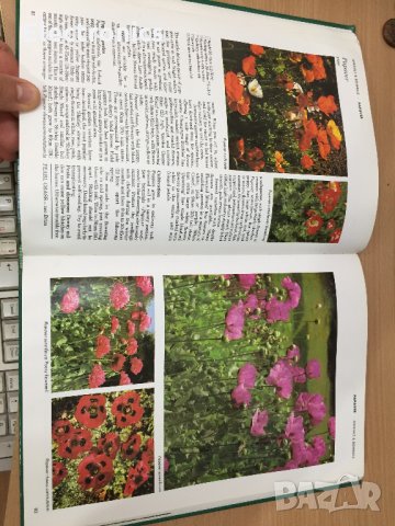 Енциклопедия A-Z of Annuals, Biennials & Bulbs (Successful Gardening), снимка 7 - Енциклопедии, справочници - 30873162