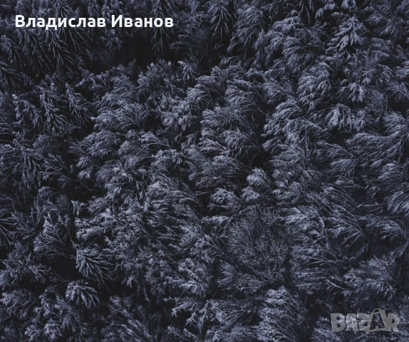 Професионален Фотограф: Сватби, Балове, Кръщенета и Събития, снимка 16 - Фотографи - 54191669