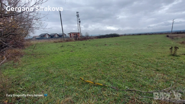 Земеделска земя