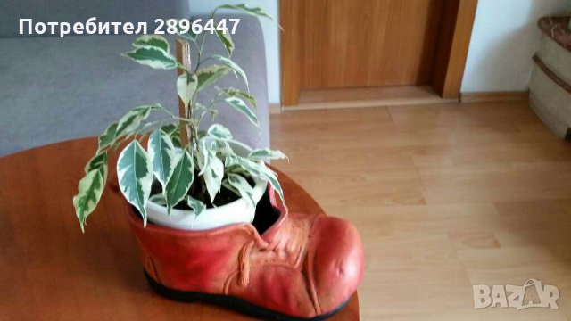 Керамична кашпа-за цвете, декорация Намалена!