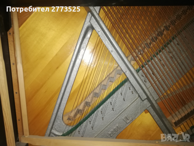Пиана, рояли, арфи, акордеони - акордиране / настройване и ремонт, снимка 6 - Други услуги - 29723120