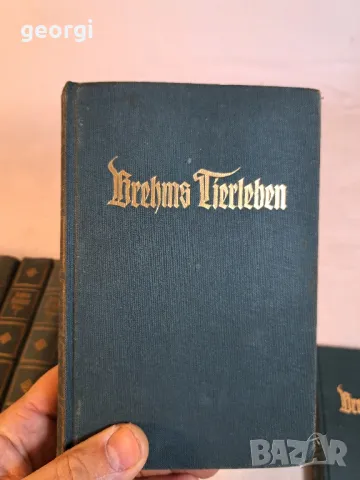 стари немски книги по зоология   10/1, снимка 3 - Антикварни и старинни предмети - 48902585