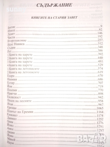 Библия голям формат, снимка 3 - Други - 52126292