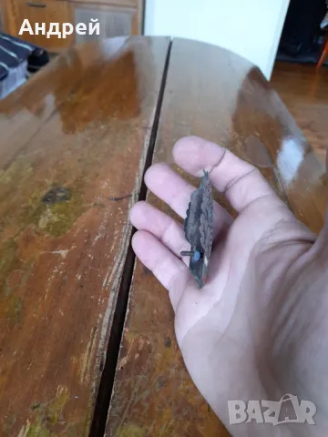 Кокарда Полиция, снимка 3 - Други ценни предмети - 50254203