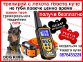Електронен нашийник за кучета електронна каишка, снимка 1 - За кучета - 41325576