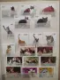 Класьор с марки /котки / 147 бр., снимка 1