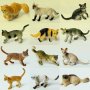 12 котки котка котета пластмасови фигурки за украса торта и ирга играчки, снимка 1 - Фигурки - 30110989