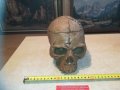 черепа-керамика 20х19х14см 0903211130, снимка 2