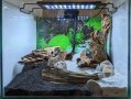 Пълен сет Нано аквариум, снимка 1 - Аквариуми - 37186623