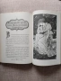 Приказна съкровищница на света №1-Приказки:Братя Грим том: 1 , снимка 6