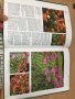 Енциклопедия A-Z of Annuals, Biennials & Bulbs (Successful Gardening), снимка 7