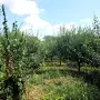 Парцел с овошки, снимка 14