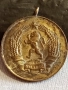 Медал от соца МНОГОДЕТНА МАЙКА за КОЛЕКЦИЯ ДЕКОРАЦИЯ 42577, снимка 6