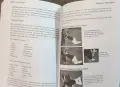 Наръчник за ръкопашен бой / Fighter's Fact Book 2. Street Fighting Experience, снимка 9