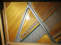 Пиана, рояли, арфи, акордеони - акордиране / настройване и ремонт, снимка 6